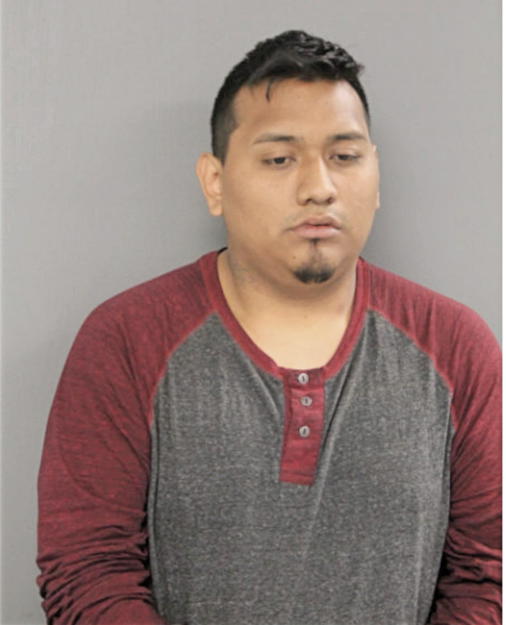 ERIC F ZARUMA, Cook County, Illinois