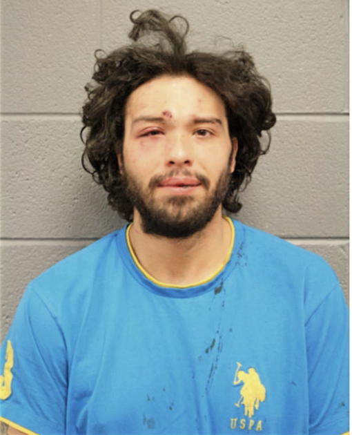 PEDRO ALEJANDRO, Cook County, Illinois