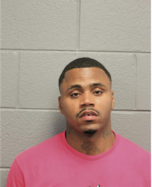 JOSHUA M ALLEN, Cook County, Illinois