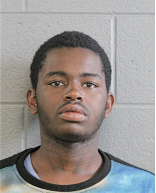 JOSHSHUN ANDERSON, Cook County, Illinois