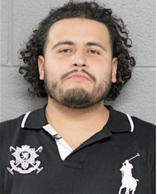 ARIEL ARELLANO, Cook County, Illinois