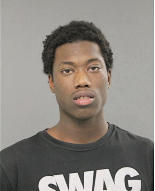 RAYSHAWN BORUM, Cook County, Illinois