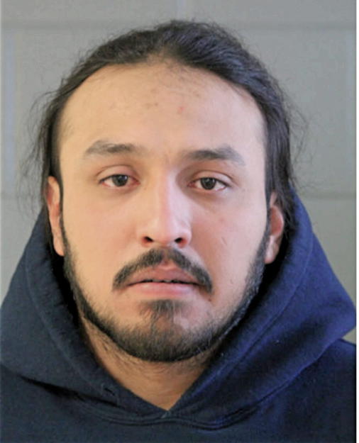 MIGUEL A BRAVO, Cook County, Illinois