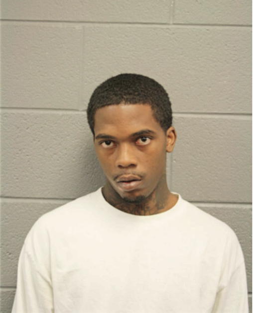 DANNY S DAVIS, Cook County, Illinois