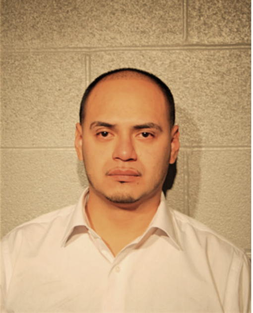 FERNANDO M DELGADO, Cook County, Illinois