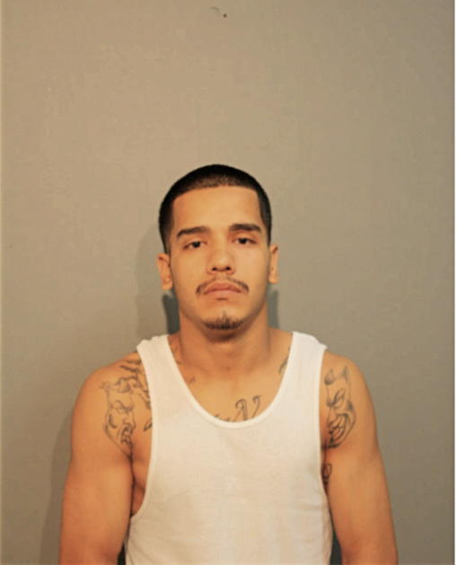 RICARDO DENAVA, Cook County, Illinois