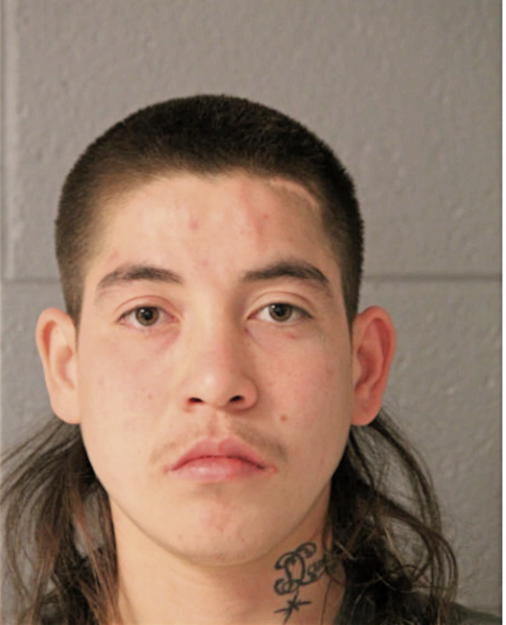 ERICK FLORES, Cook County, Illinois