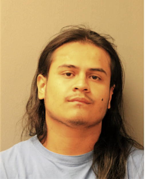 JOHNNY FLORES, Cook County, Illinois