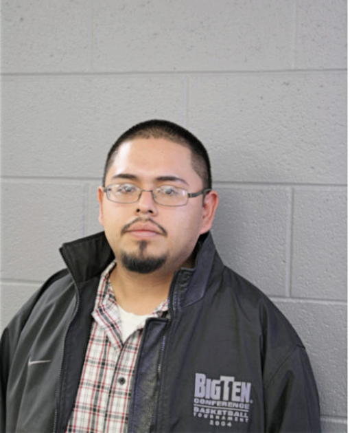 ANDRES M GUZMAN, Cook County, Illinois