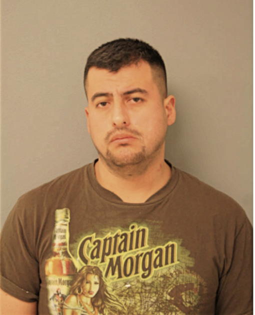 MAURICIO C HERNANDEZ, Cook County, Illinois