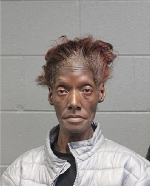 DEBRA A HOLT, Cook County, Illinois