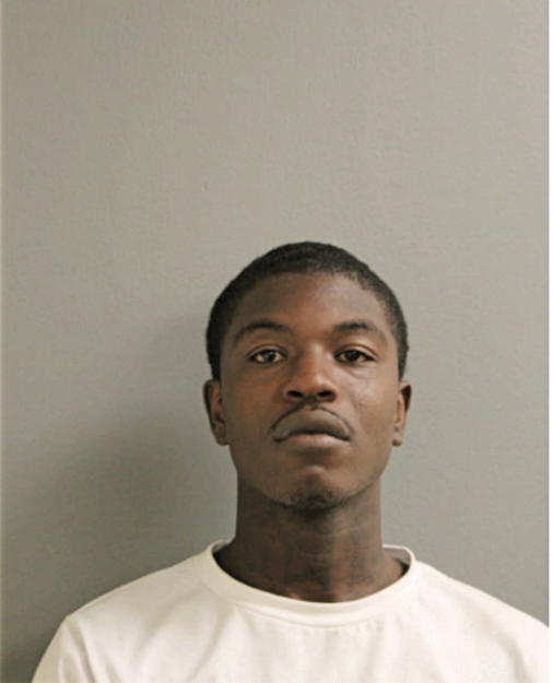 LEANTAE D JOHNSON, Cook County, Illinois