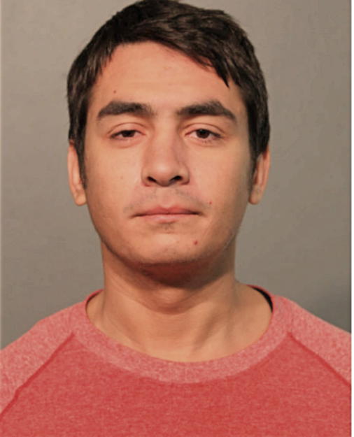 DAVID J MERCADO, Cook County, Illinois