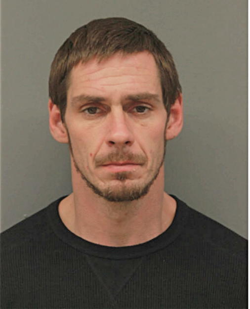 MICHAEL A NOLL, Cook County, Illinois