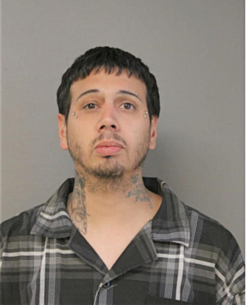 MICHAEL D OLIVAREZ, Cook County, Illinois