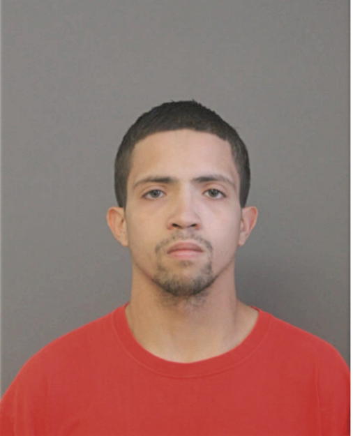 NATHANIEL A POPOLO, Cook County, Illinois
