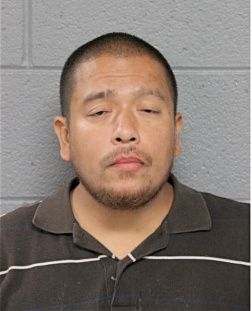 JAVIER PUENTE, Cook County, Illinois