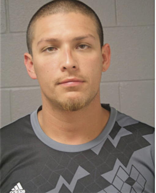 FERNANDO J REYES, Cook County, Illinois
