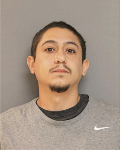 DANIEL J SAENZ, Cook County, Illinois