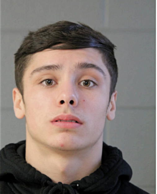 NICHOLAS SUDOL, Cook County, Illinois