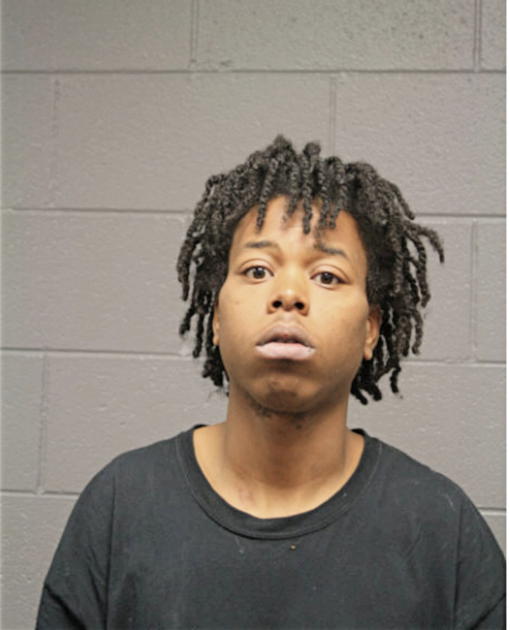 CHARLES E SUGGS, Cook County, Illinois