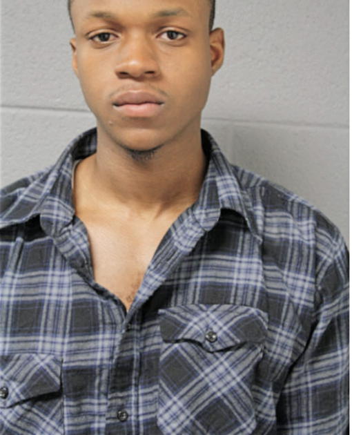 CHRISTOPHER G WHITSETT, Cook County, Illinois