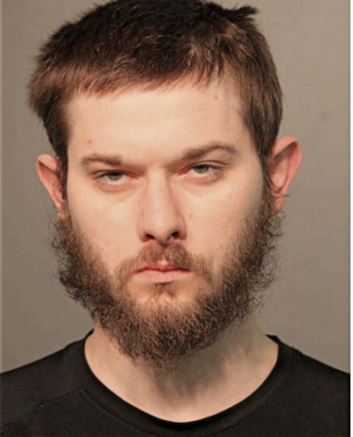 ETHAN LEE ALEXANDER, Cook County, Illinois