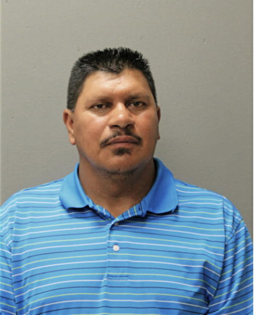 MANUEL ANDRADE-PIZARRO, Cook County, Illinois