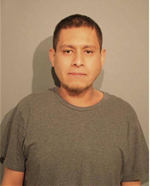 ABRAHAM E BARRETO-GONZALEZ, Cook County, Illinois