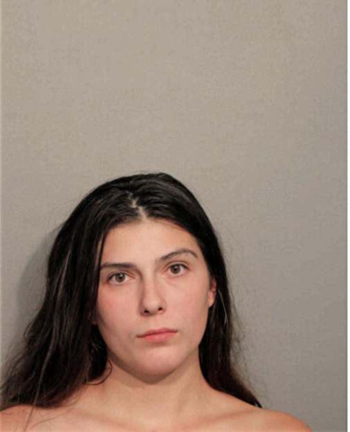 LISA N BRIESKE, Cook County, Illinois