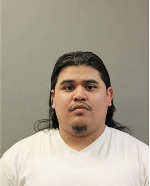 SIDNEY DOMINGUEZ, Cook County, Illinois