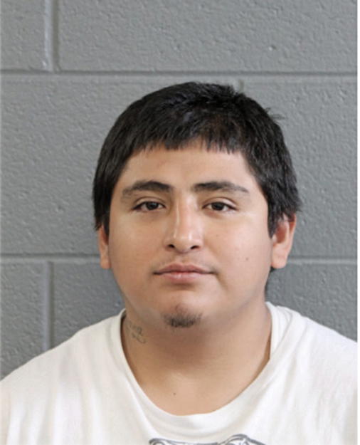 JESUS G FIGUEROA, Cook County, Illinois