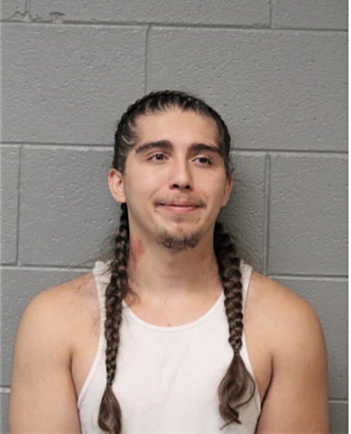 JUSTIN J GALVAN, Cook County, Illinois