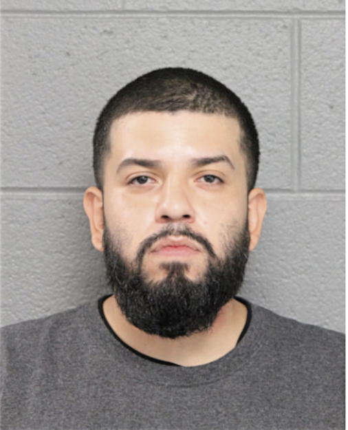 LUIS ANGEL GONZALEZ, Cook County, Illinois