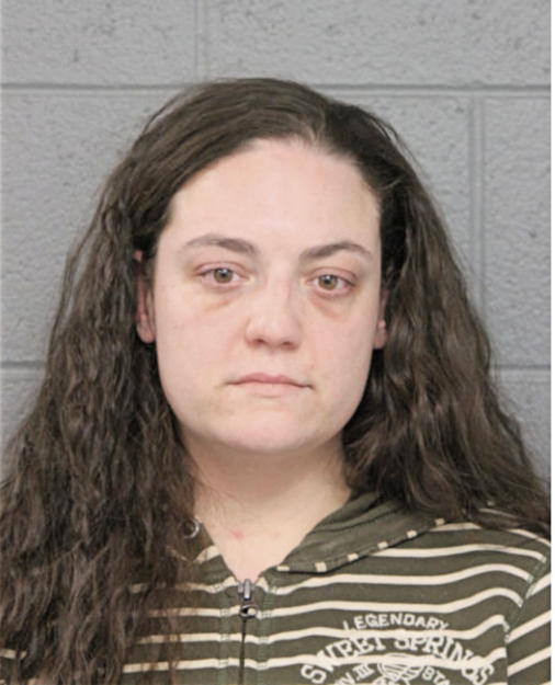 AMY M HANLEY, Cook County, Illinois