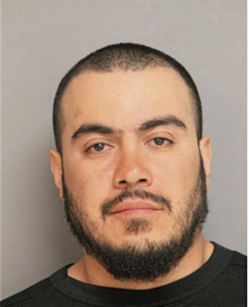 ISRAEL GARNICA HERNANDEZ, Cook County, Illinois