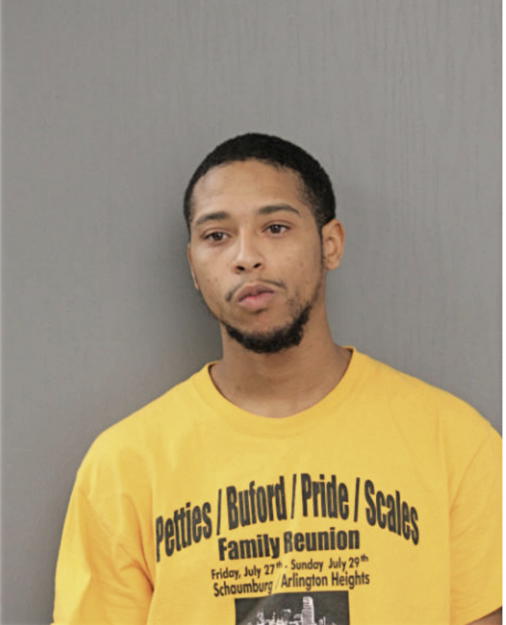 MITCHELL R JENKINS, Cook County, Illinois