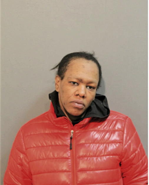 JOHANNA N JOHNSON, Cook County, Illinois