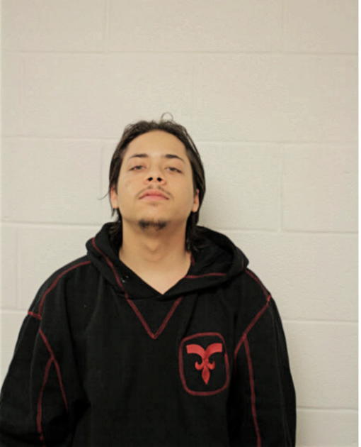 LUIS E MEDINA, Cook County, Illinois