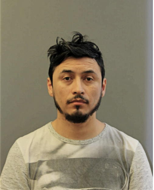 MARCOS MERLOS, Cook County, Illinois