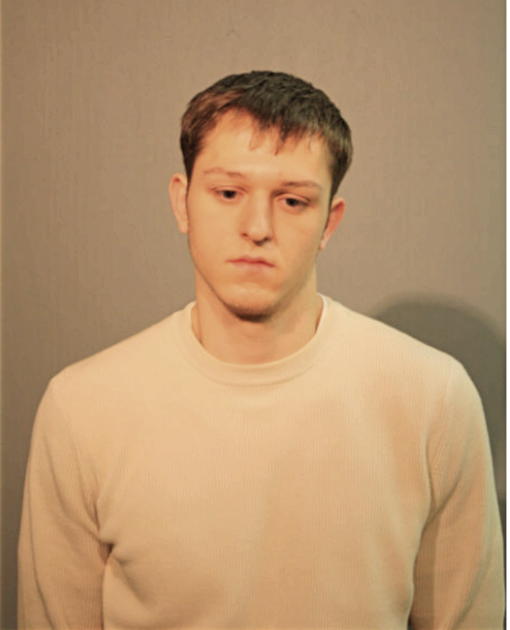 SERHIY NIKOLAYEV, Cook County, Illinois