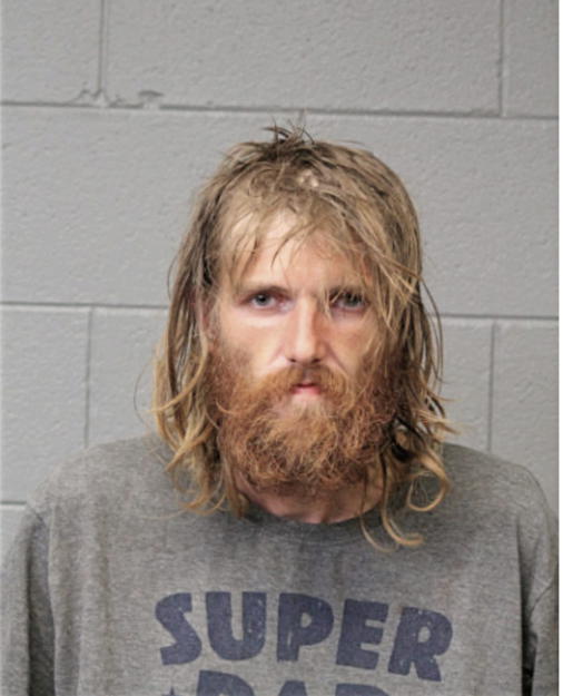 DANIEL L PALMER, Cook County, Illinois