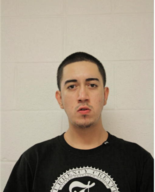 FERNANDO ANJEL PATINO, Cook County, Illinois