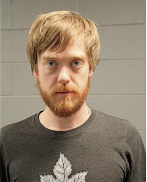 DANIEL J RAY, Cook County, Illinois