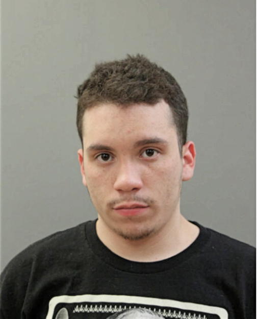 DAVID L ROMAN, Cook County, Illinois