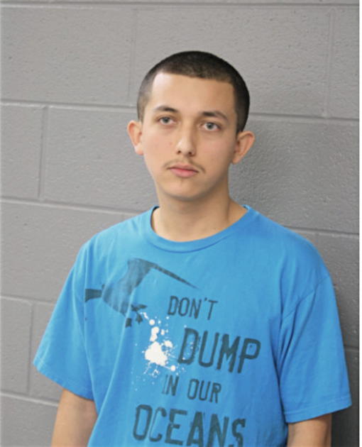 ARLEY ROMERO, Cook County, Illinois