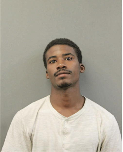 HOLLIS P WILLIAMS, Cook County, Illinois