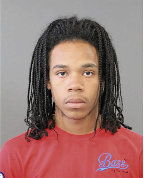 DION J WINSTON, Cook County, Illinois