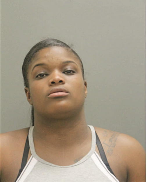 DIAMOND P WOODS, Cook County, Illinois