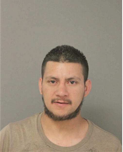 JOSE R ARITA, Cook County, Illinois
